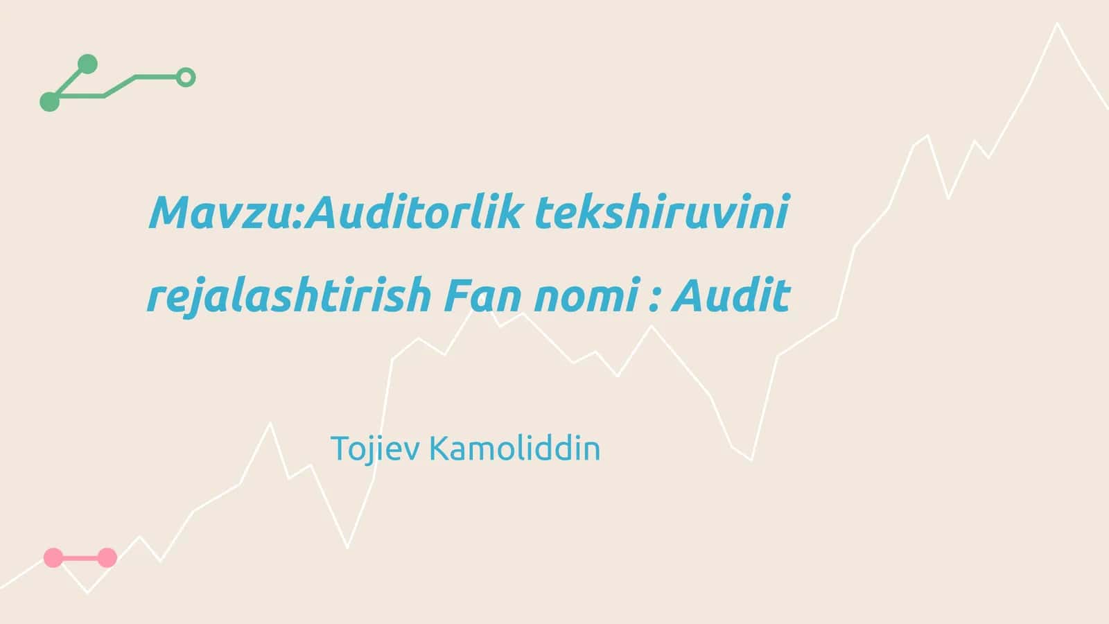 Auditorlik tekshiruvini rejalashtirish 1