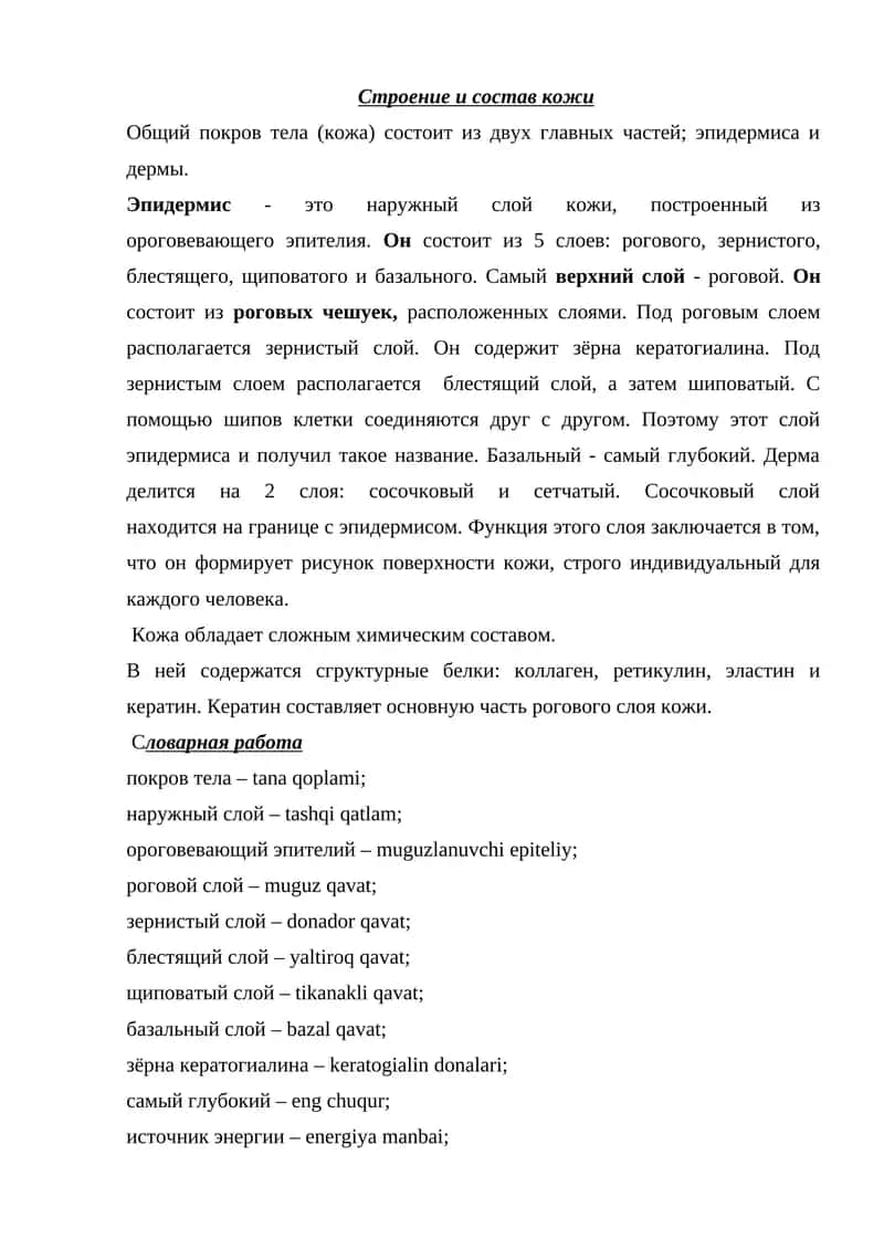 Строение и состав кожи 1