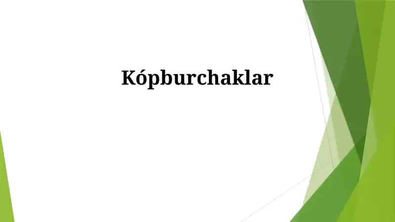 Kvadratlar 1