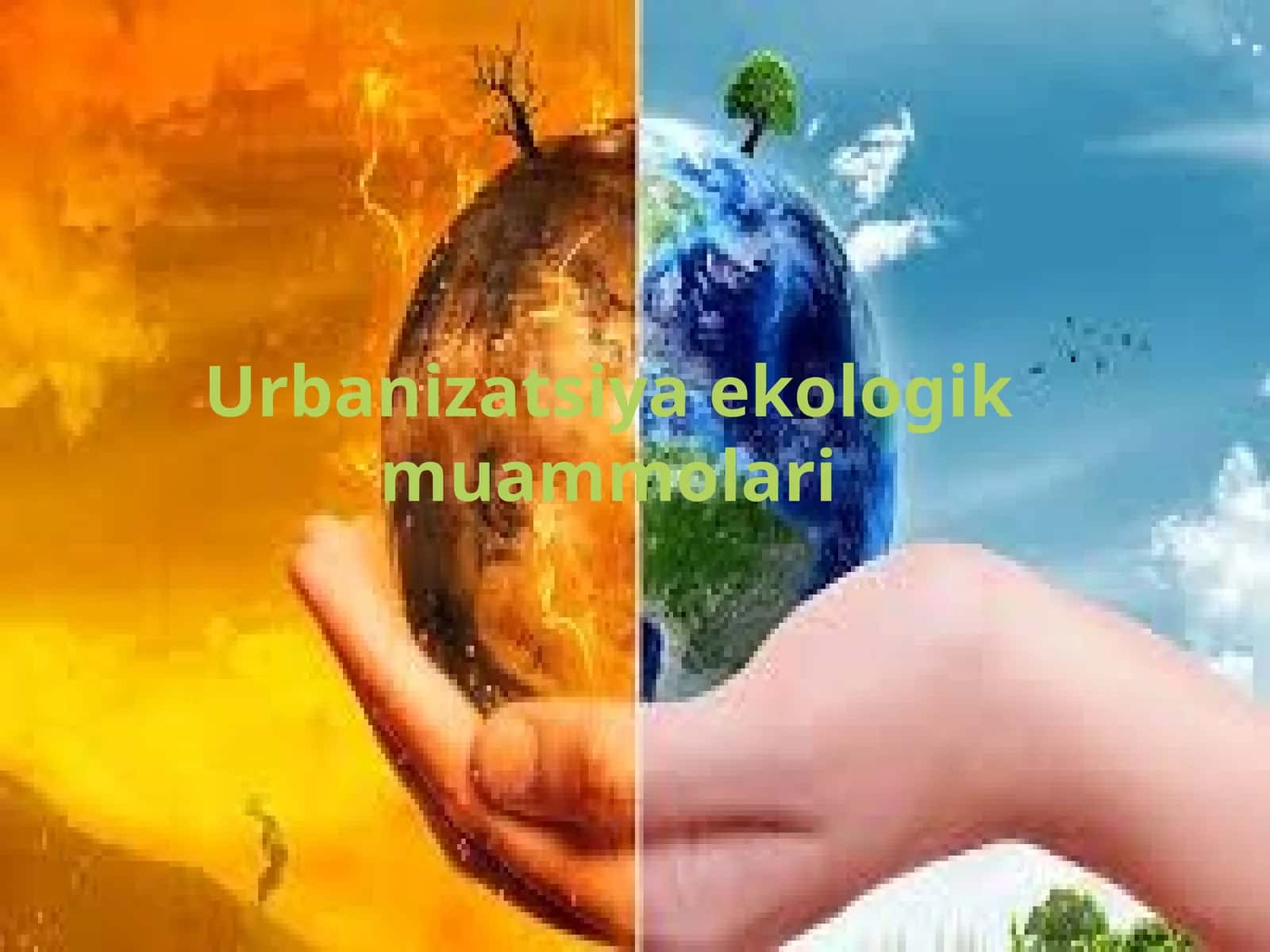 Urbanizatsiya ekologik muammolari 1