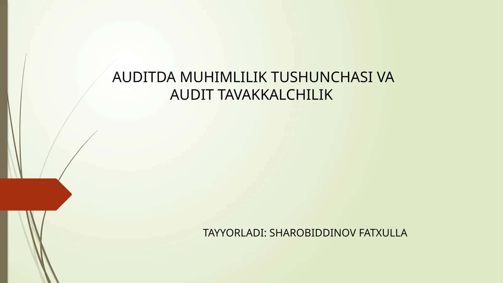 AUDITDAMUHIMLILIK TUSHUNCHASI VA AUDIT TAVAKKALCHILIK 1