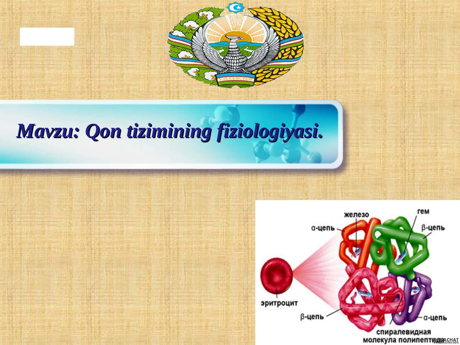 Qon tizimining fiziologiyasi 1