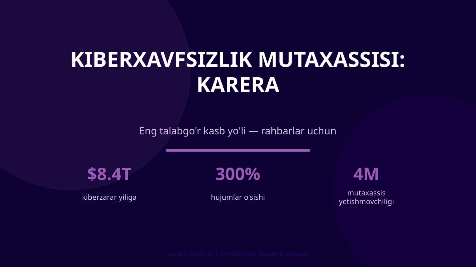 Kiberxavfsizlik Mutaxassisi: Karera 1