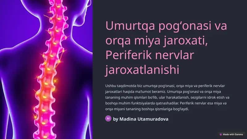 Umurtqa pogʻonasi va orqa miya jaroxati 1