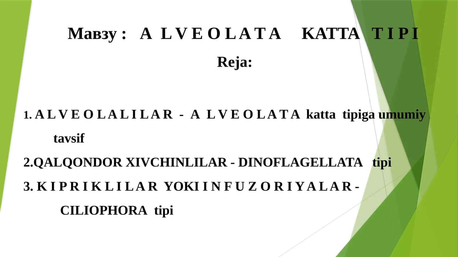 АL V E O L A T A KATTA T I P I 1
