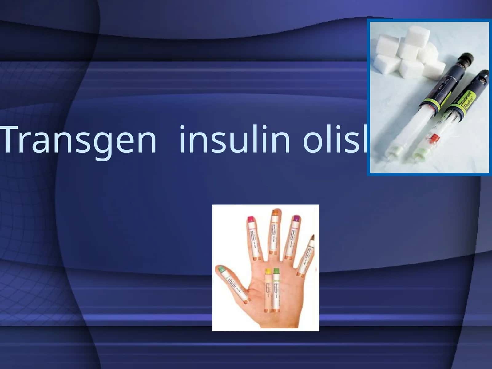 Insulin 1