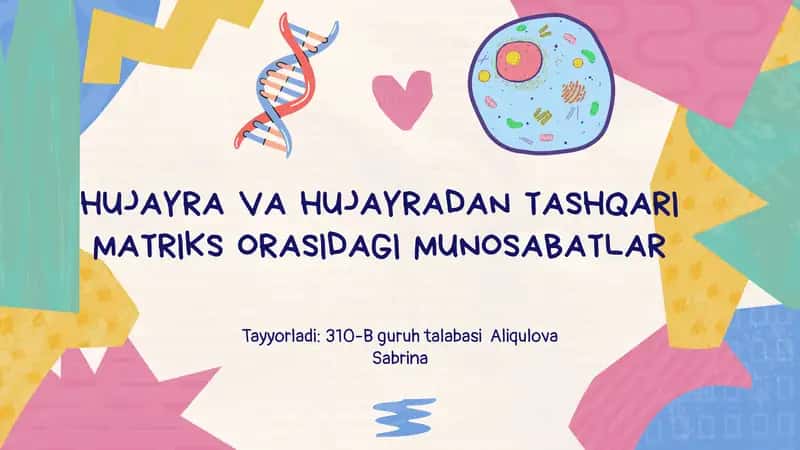 HUJAYRA VA HUJAYRADAN TASHQARI MATRIKS ORASIDAGI MUNOSABATLAR 1