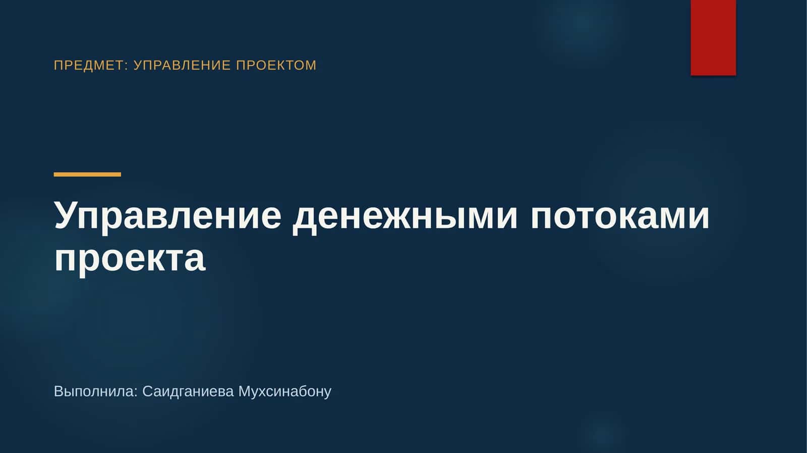Управление денежными потоками проекта 1
