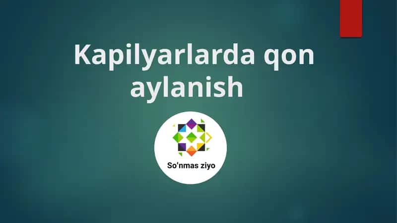 Kapilyarlarda qon aylanish 1