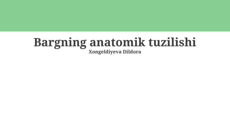 Bargning anatomik tuzilishi 1