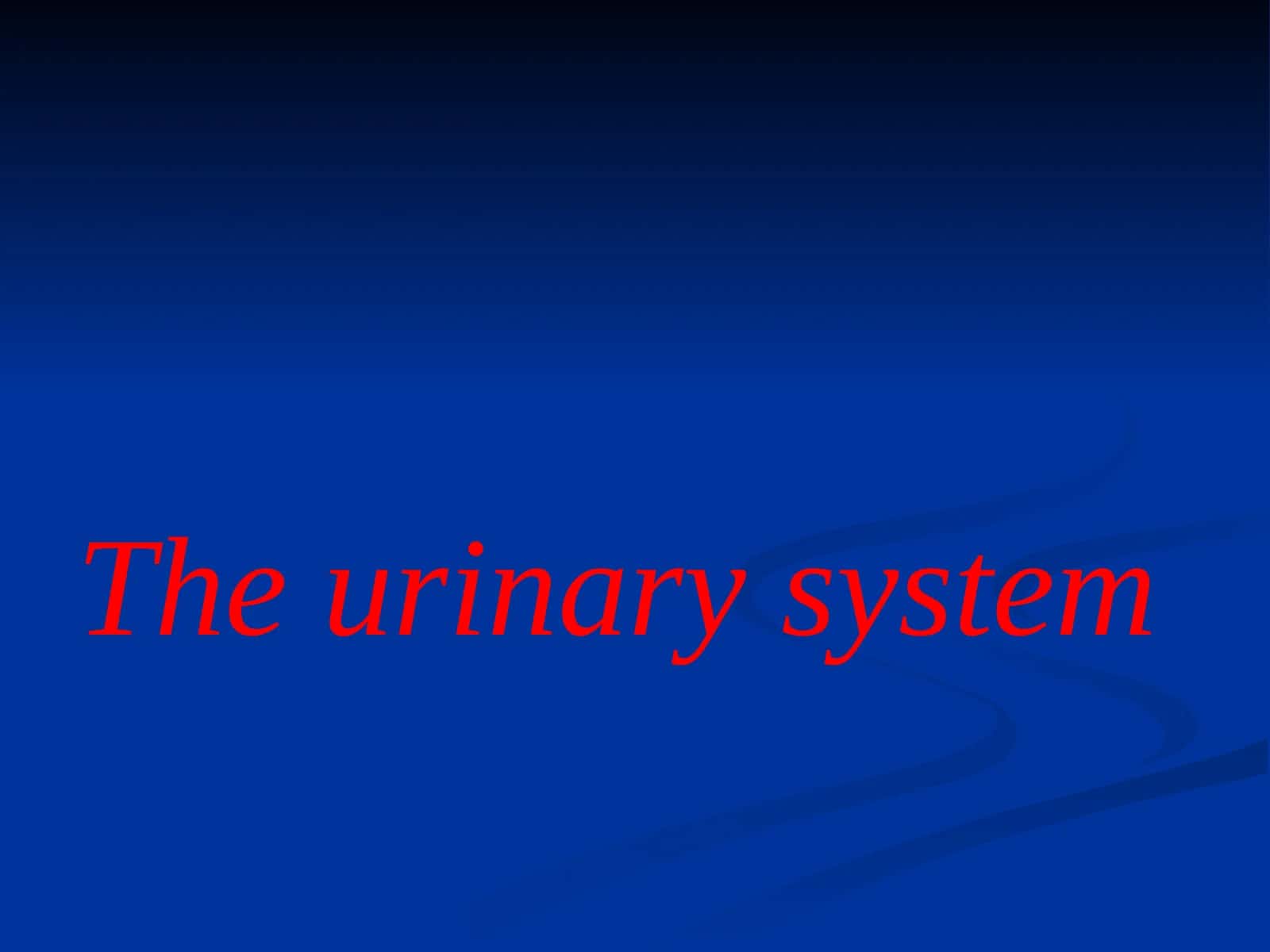 The urinary system 1