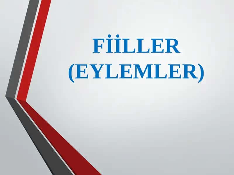 Fiiller(Eylemler) 1