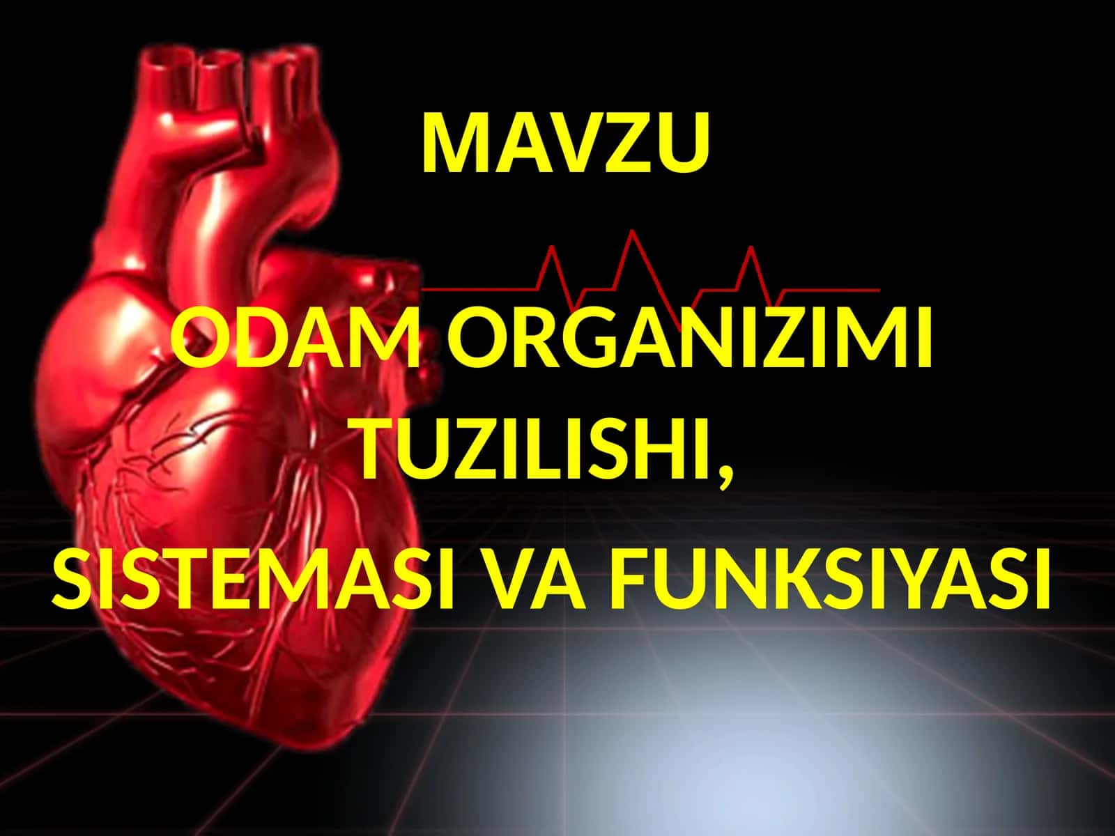 ODAM ORGANIZIMI TUZILISHI, SISTEMASI VA FUNKSIYASI 1