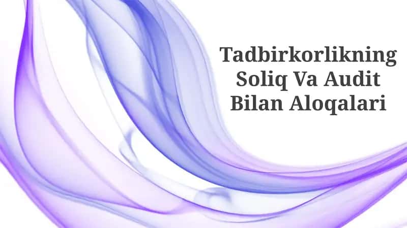 Tadbirkorlikning Soliq Va Audit Bilan Aloqalari 1