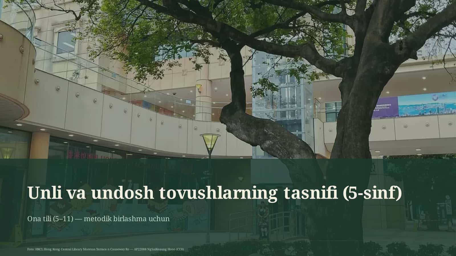 Unli va undosh tovushlarning tasnifi (5-sinf) 1