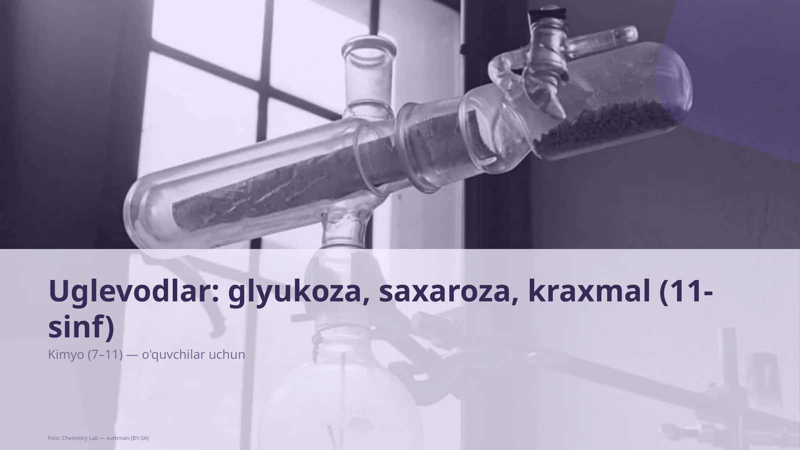 Uglevodlar: glyukoza, saxaroza, kraxmal (11-sinf) 1