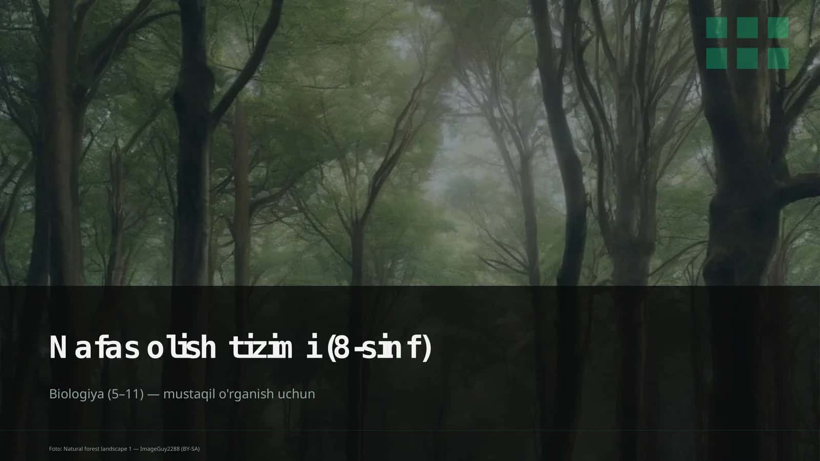 Nafas olish tizimi (8-sinf) 1
