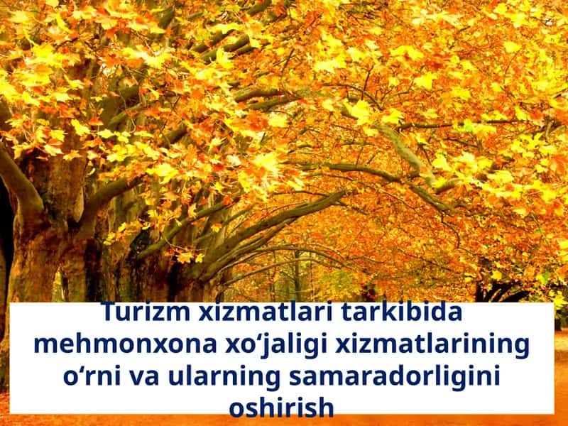 Turizm xizmatlari tarkibida mehmonxona xo‘jaligi xizmatlarining o‘rni va ularning samaradorligini oshirishsh 1