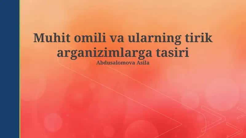Gandizm Ta'limoti 1