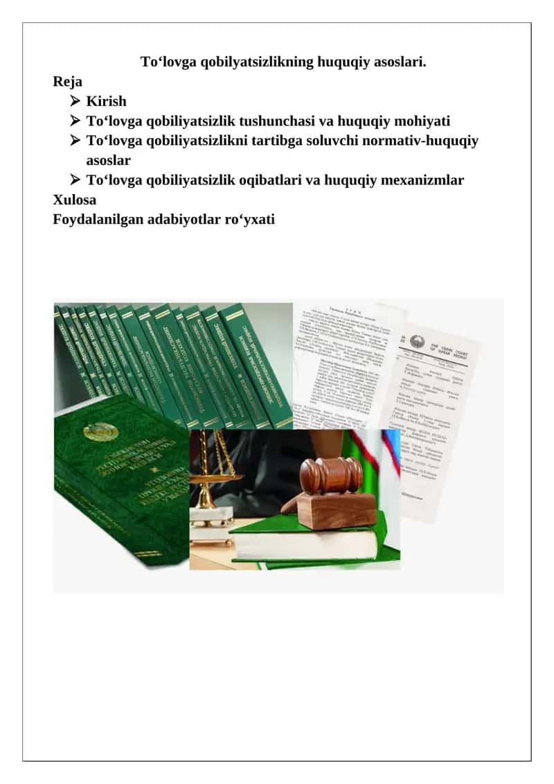 To‘lovga qobilyatsizlikning huquqiy asoslari 1