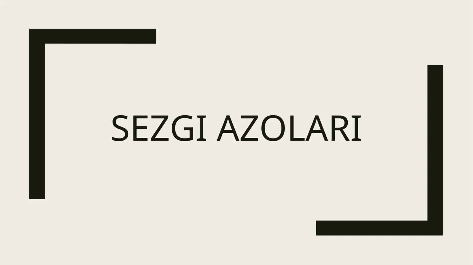 Sezgi a'zolari 1
