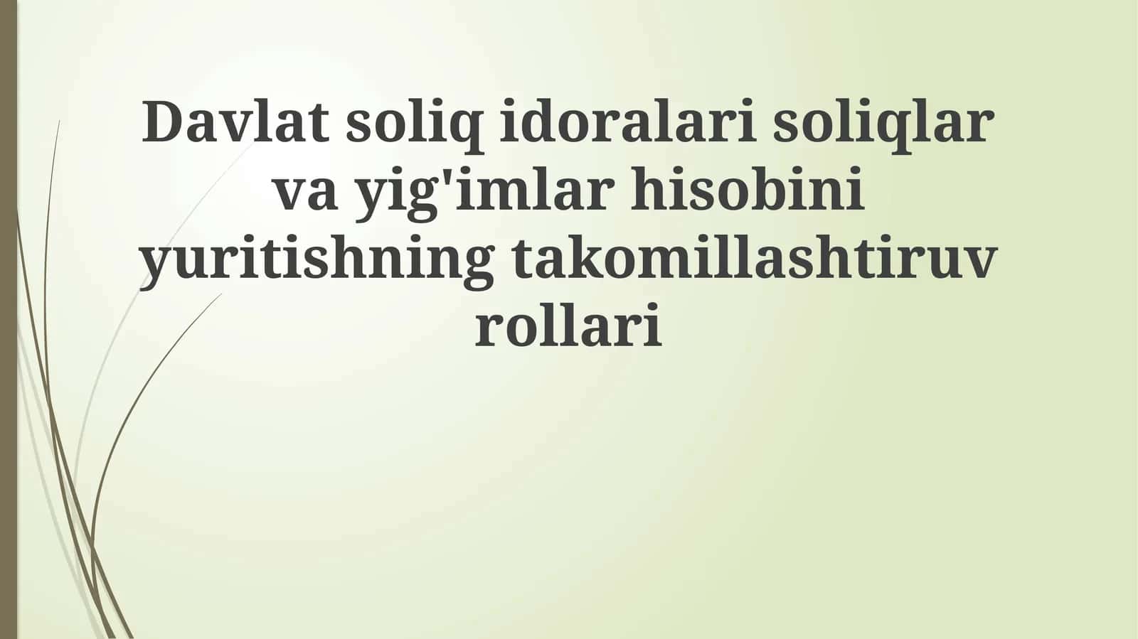 Davlat Soliq Organlarining Soliq va To'lovlar Hisobini Yaxshilashdagi Rolini O'rganish 1