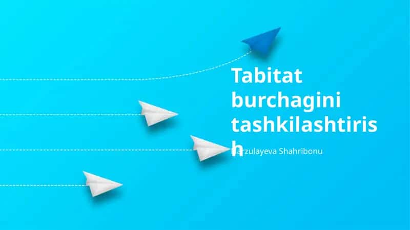 Yashash Burchagi G'oyasi 1