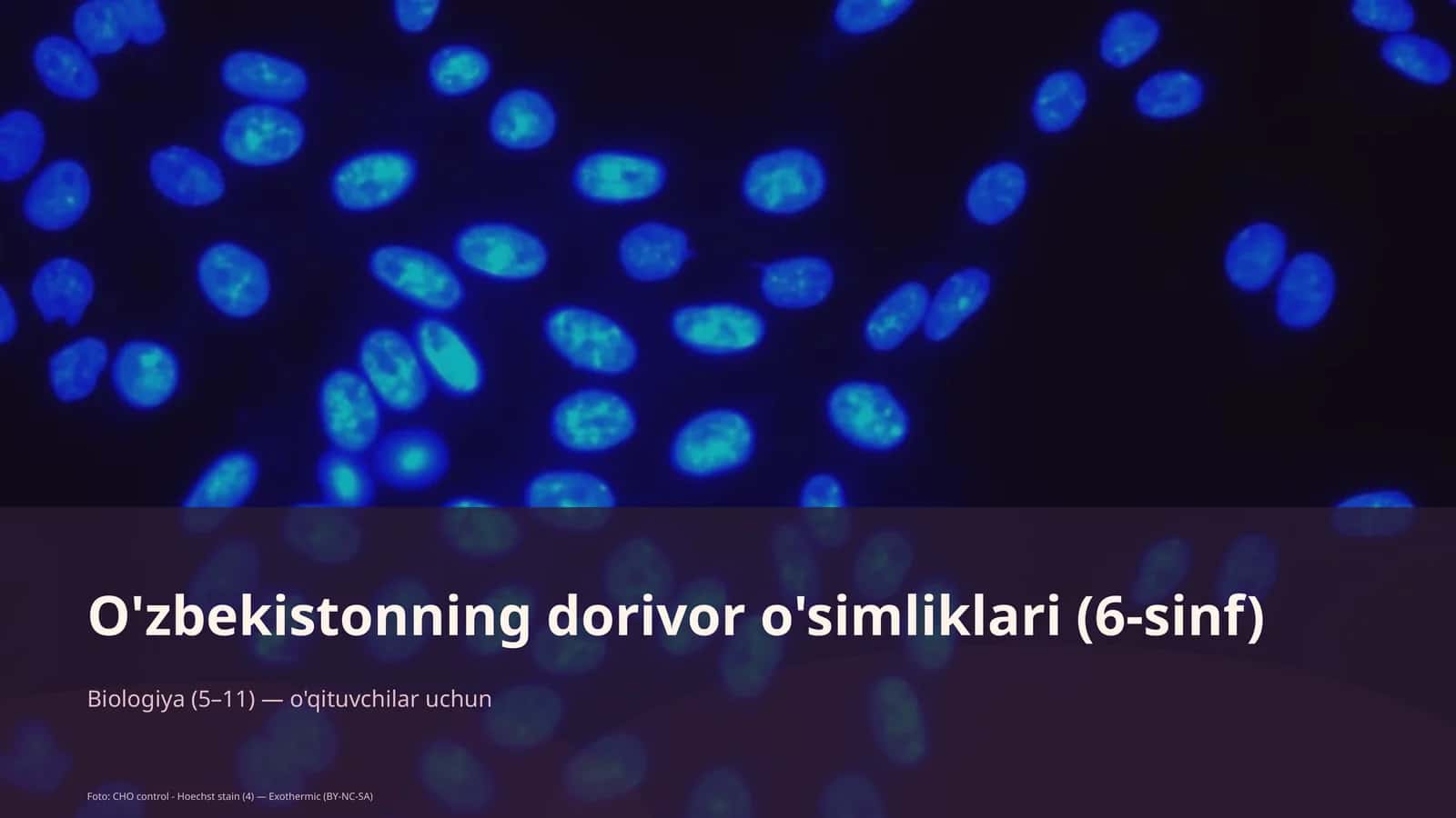O'zbekistonning dorivor o'simliklari (6-sinf) 1