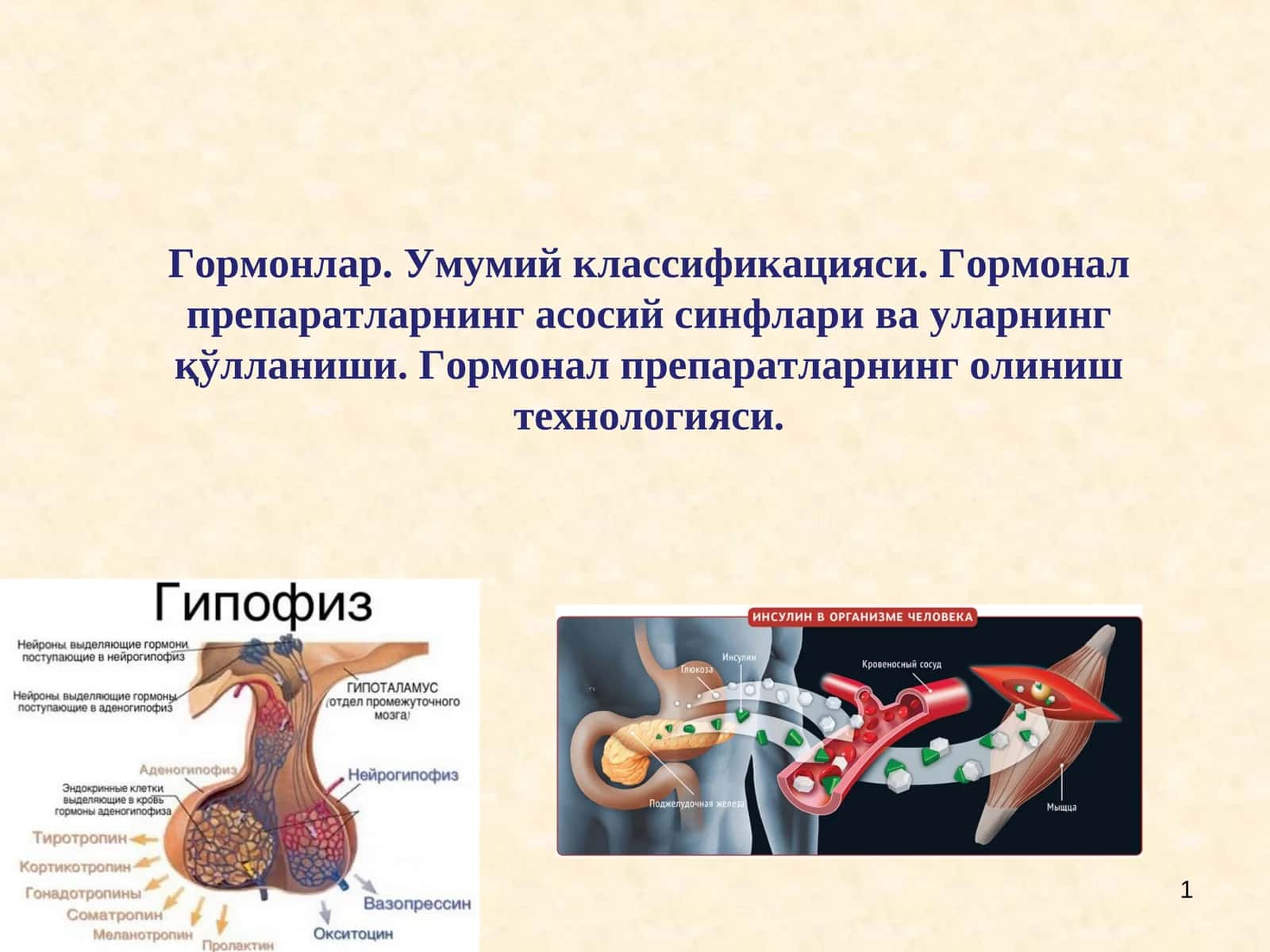 Гормонлар. Умумий классификацияси,Гормонал препаратларнинг асосий синфлари ва уларнинг қўлланиши 1