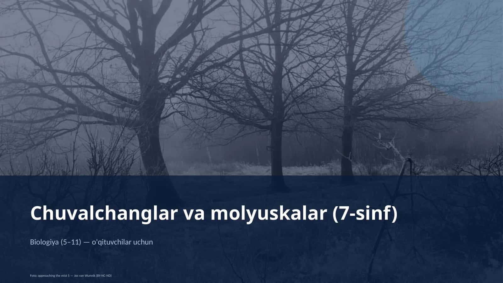 Chuvalchanglar va molyuskalar (7-sinf) 1