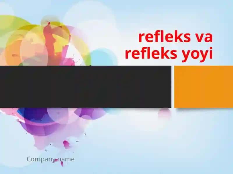 Refleks va refleksyoyi 1