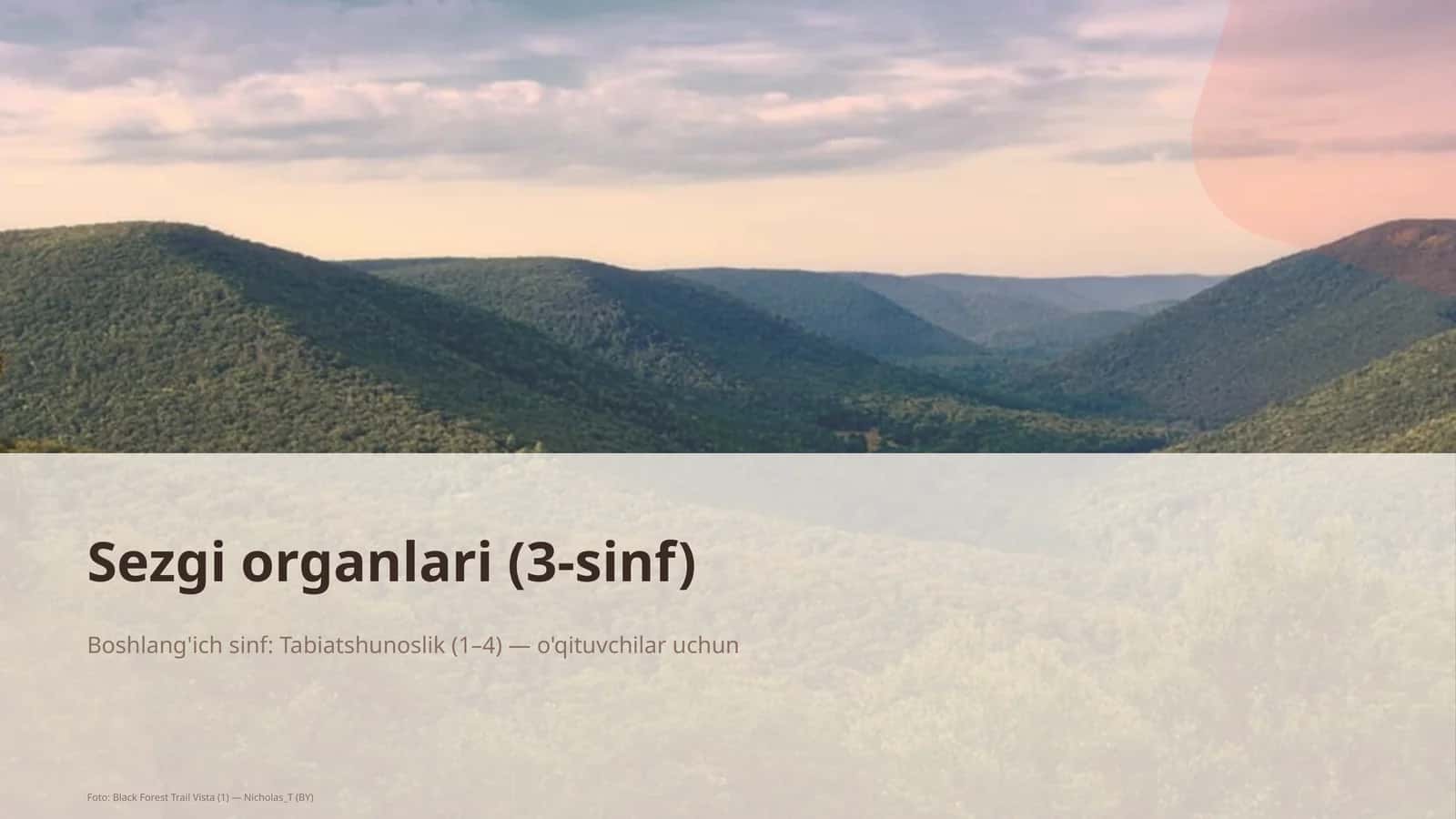 Sezgi organlari (3-sinf) 1
