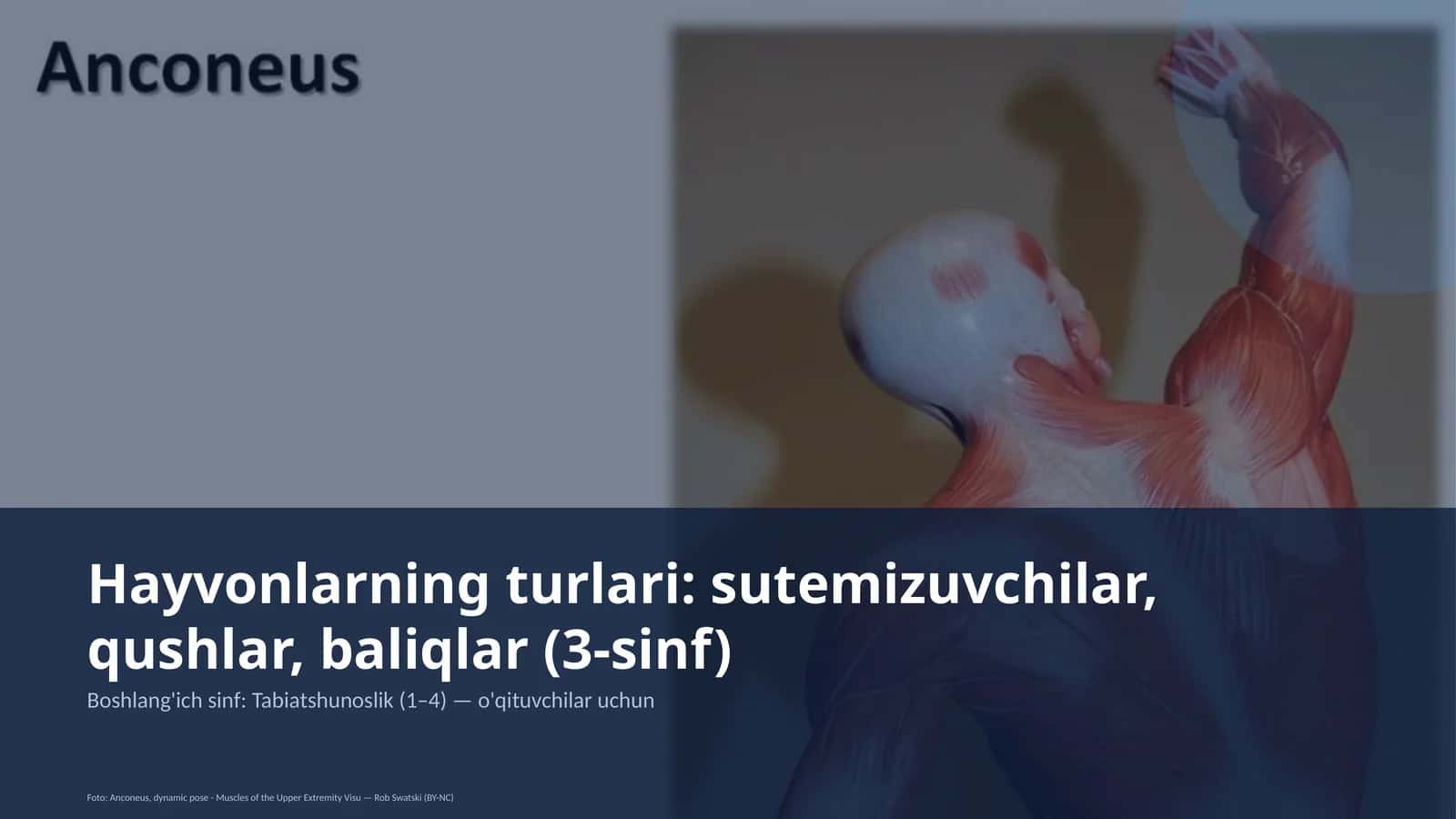 Tabiatshunoslik Dars Rejasi 1