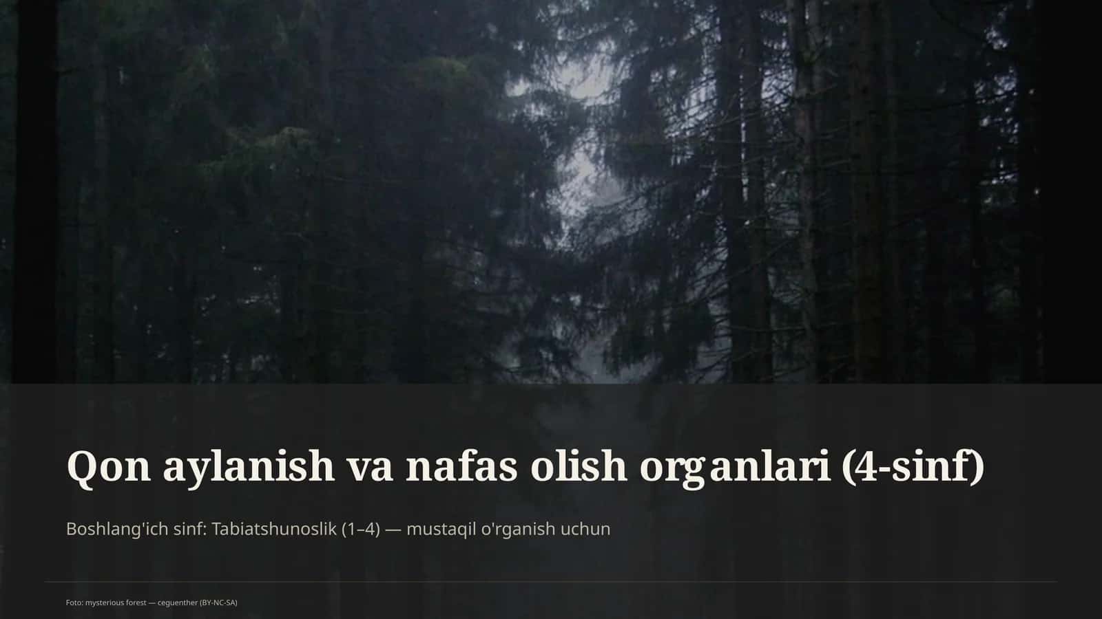 Qon aylanish va nafas olish organlari (4-sinf) 1