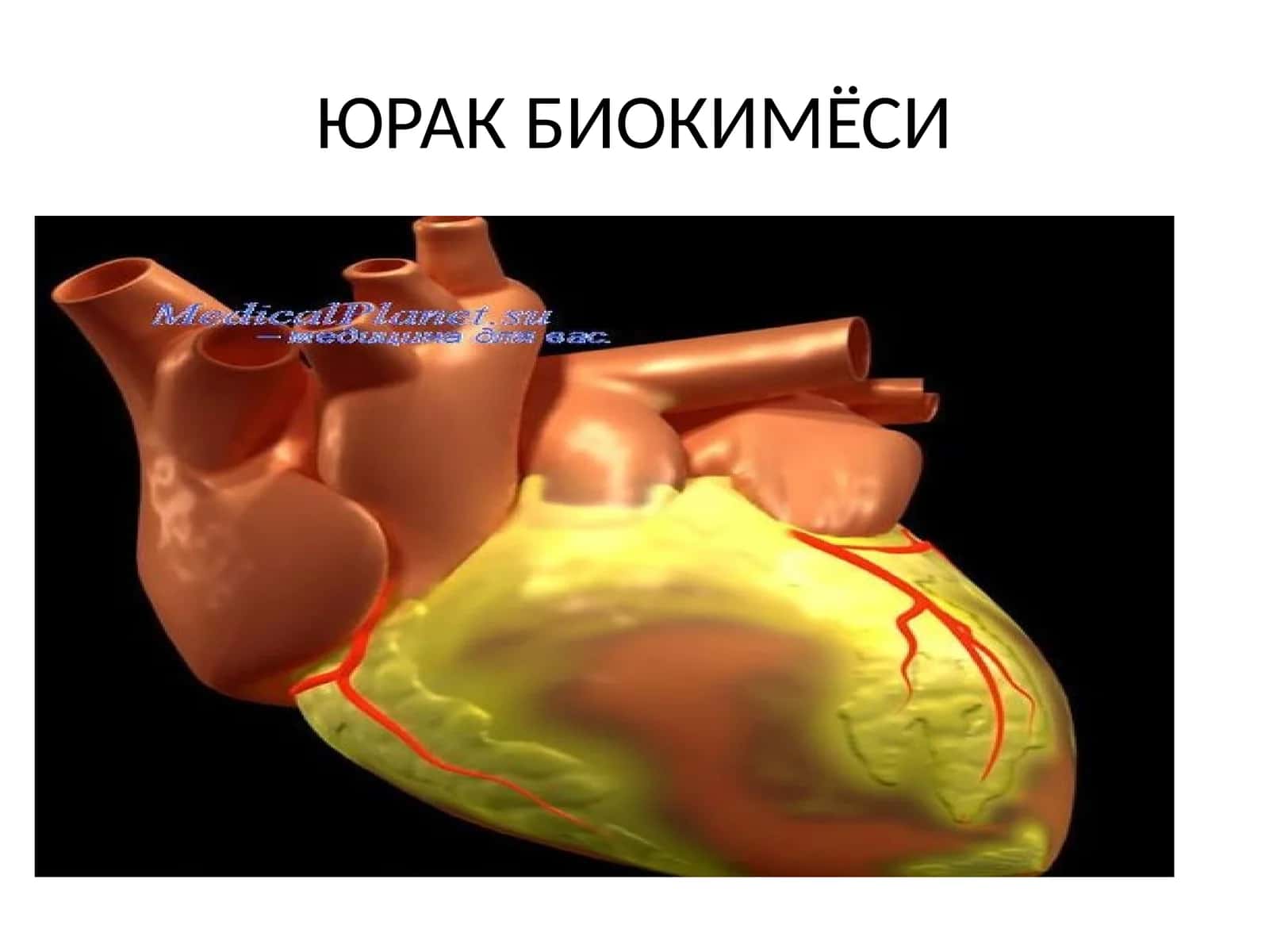 ЮРАК БИОКИМЁСИ 1