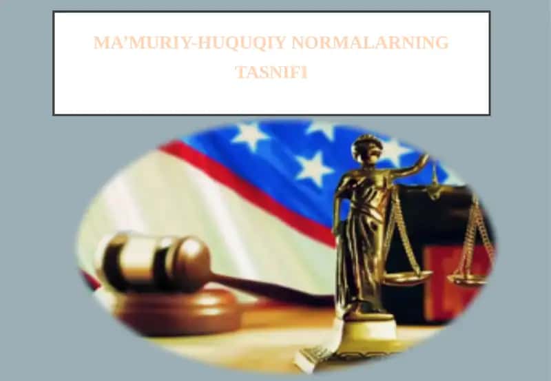 MA’MURIY-HUQUQIY NORMALARNING TASNIFI 1