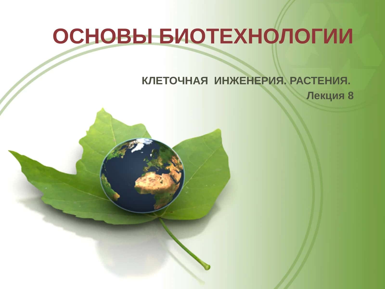 ОСНОВЫ БИОТЕХНОЛОГИИ 1