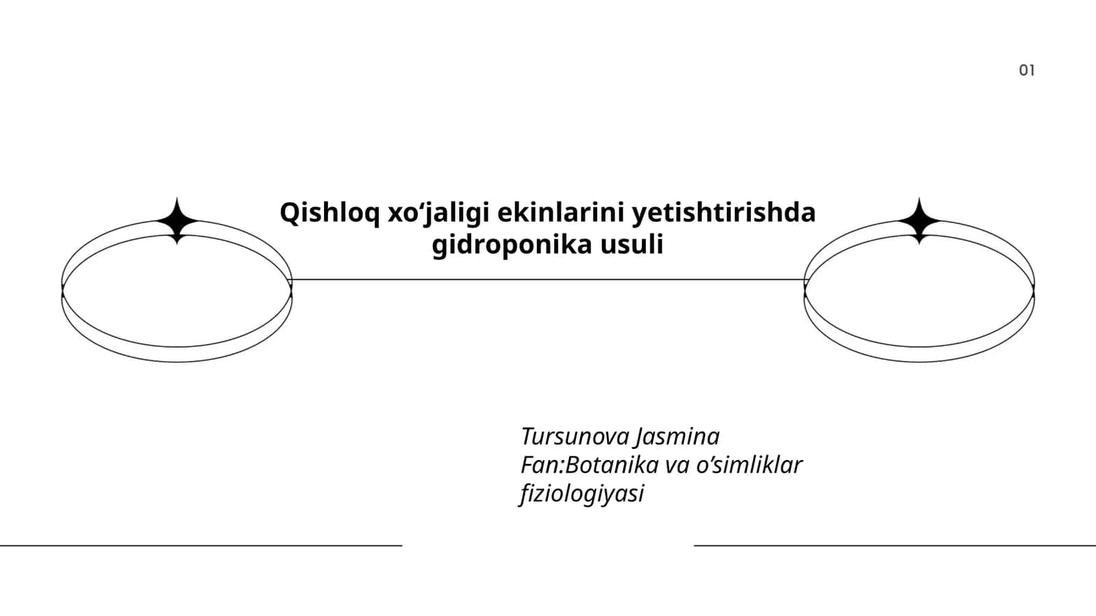 Qishloq xo‘jaligi ekinlarini yetishtirishda gidroponika usuli 1