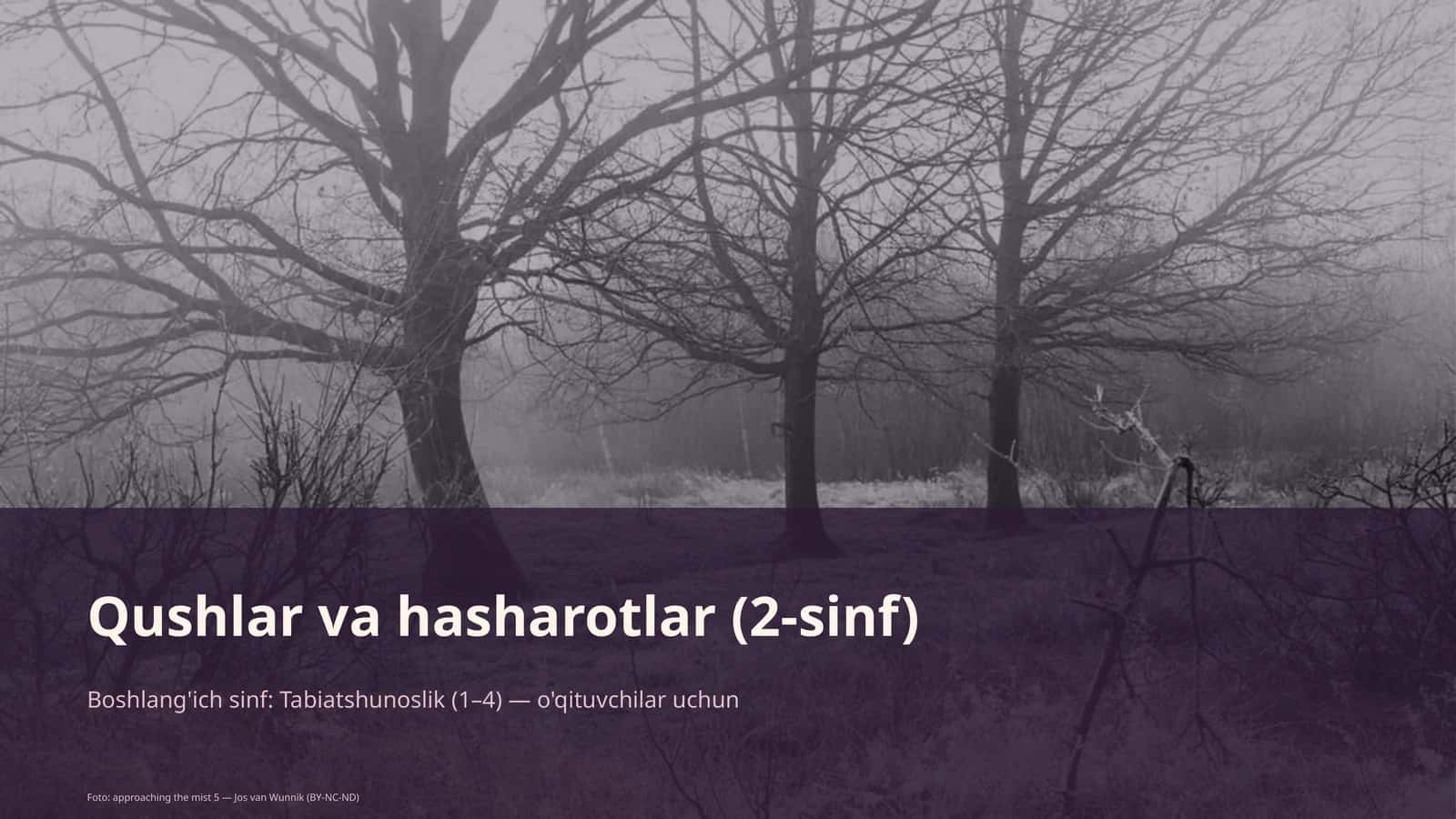 Qushlar va hasharotlar (2-sinf) 1