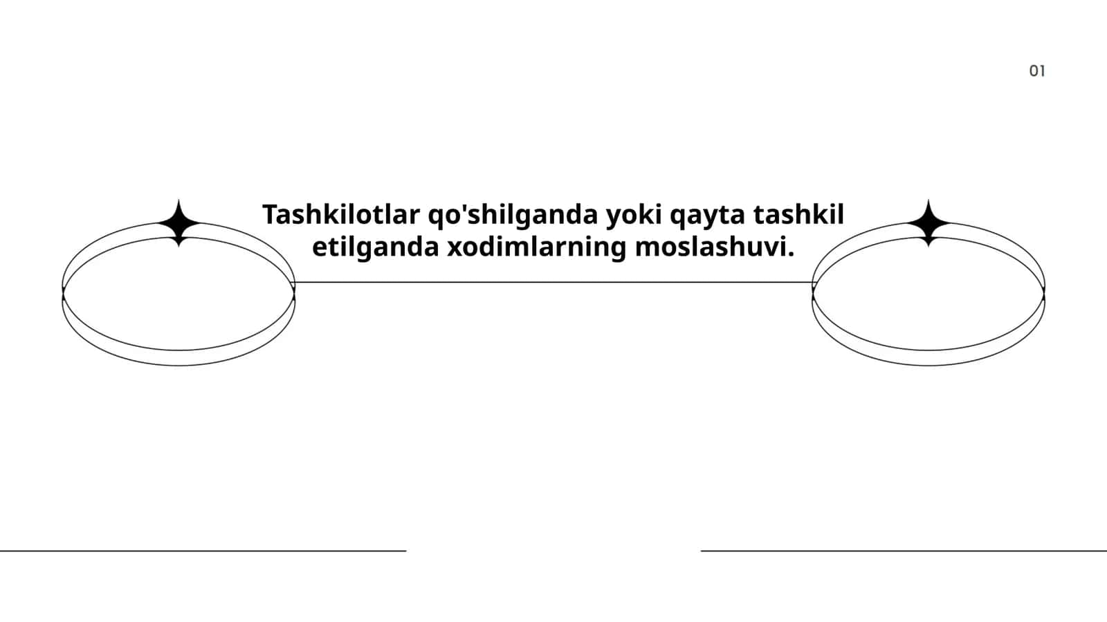 Tashkilot madaniyatining moslashuvi 1