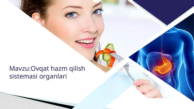 Ovqat hazm qilish sistemasi organlari 1