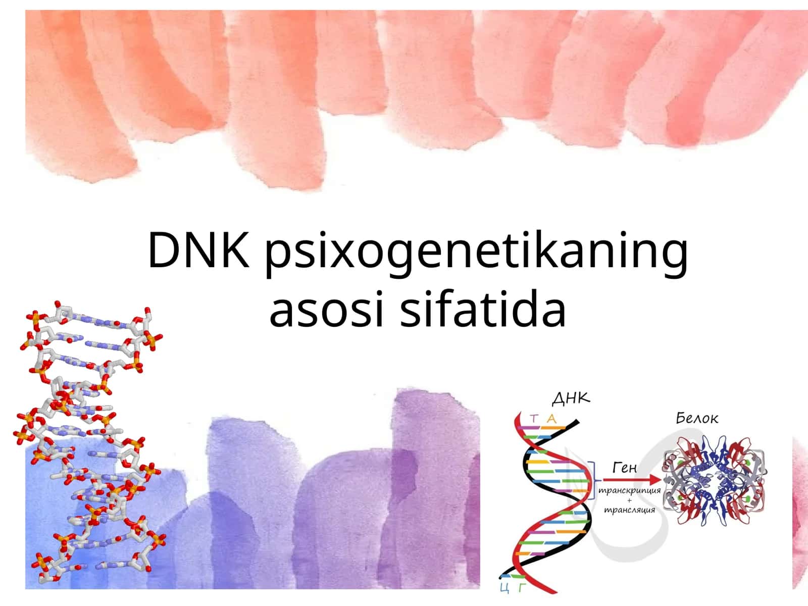 DNK psixogenetikaning asosi sifatida 1