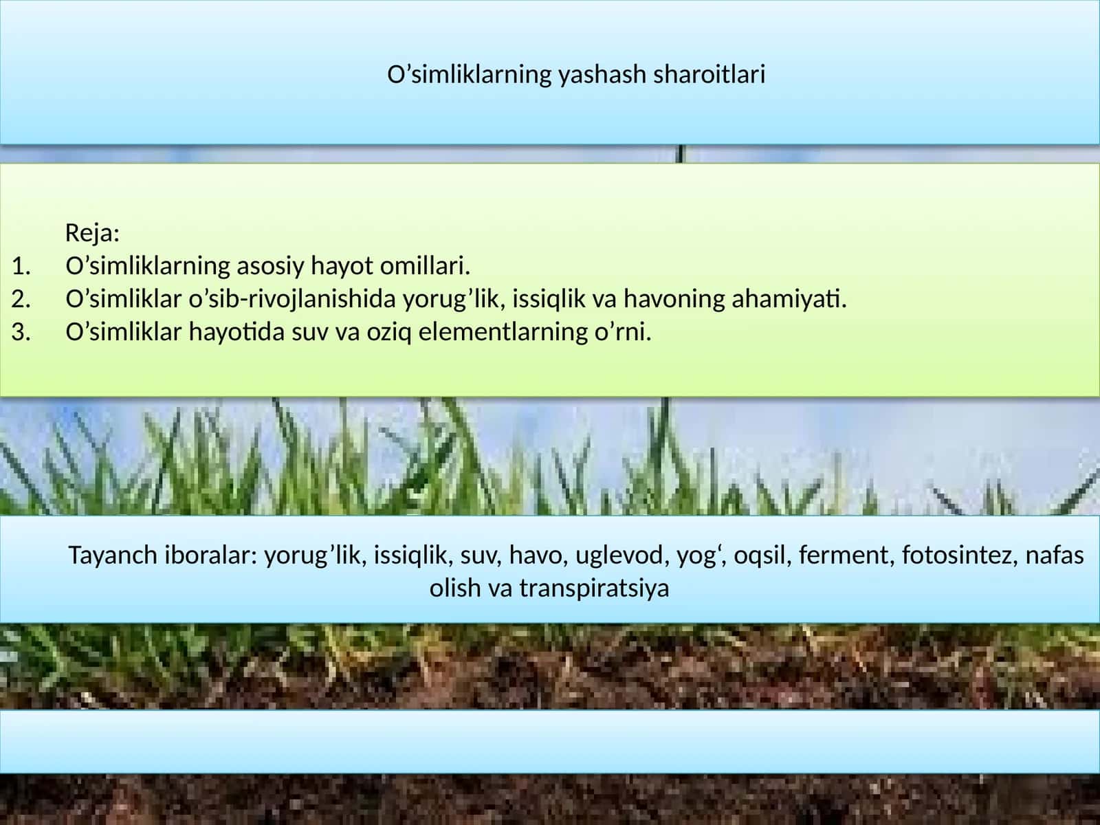 O’simliklarning yashash sharoitlari 1