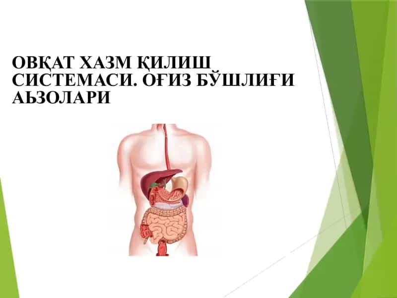 Ovqat hazm qilish sistemasi Og'iz bo'shlig'i a'zolari ОВҚАТ ХАЗМ ҚИЛИШ СИСТЕМАСИ. ОҒИЗ БЎШЛИҒИ	АЬЗОЛАРИ 1