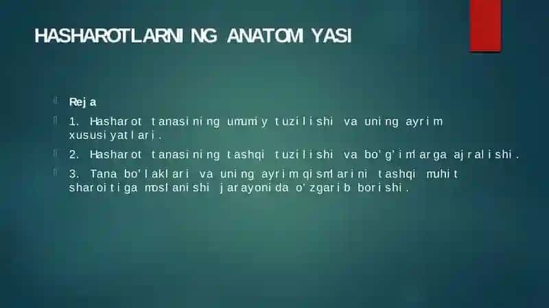 hasharotlarninganatomiyasi 1