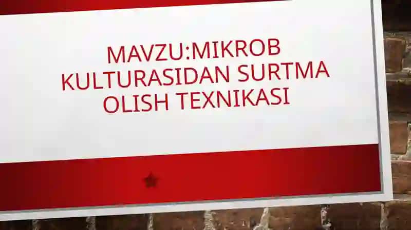 mustaqil ish mikrobiologiya 1