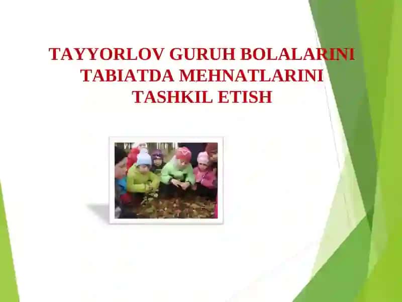 Tayyorlov Guruh Bolalarini Tabiatda Mehnatlari Tashkil Etish 1