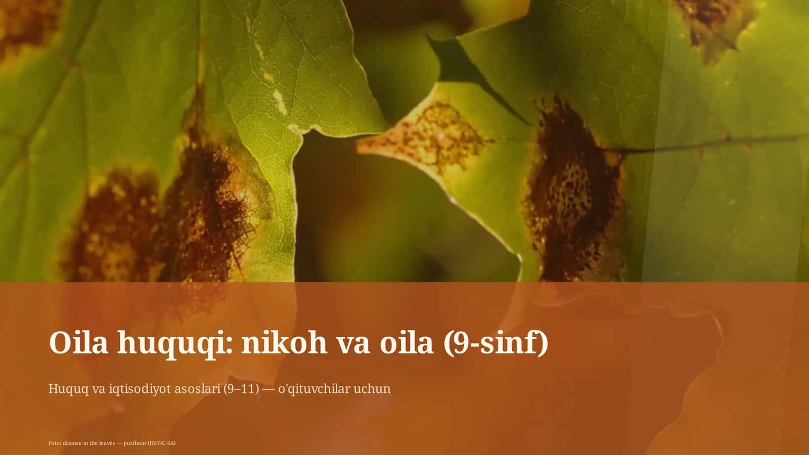 Familia huquqi: nikoh va oila (9-sinf) 1