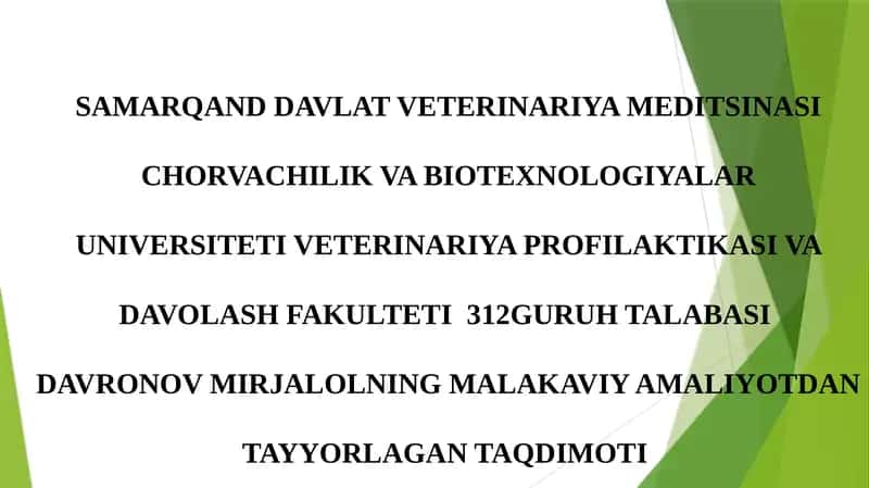 Davronov Mirjalolning Malakaviy Amaliyotdan Tayyorga Taqdimoti 1