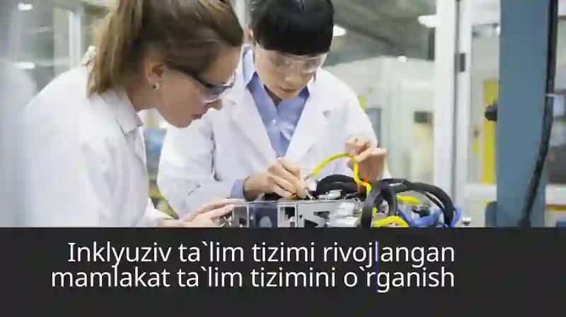 Inklyuziv ta`lim tizimi rivojlangan mamlakat ta`lim tizimini o`rganish
